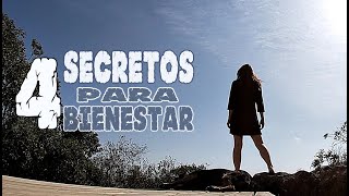 Mis 4 secretos de bienestar  Hábitos saludables [upl. by Yhtrod]