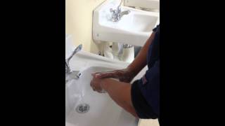 Handwashing Demo [upl. by Nylarej]