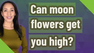 Can moon flowers get you high [upl. by Adigirb430]