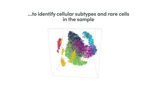 How it Works  Chromium Single Cell Gene Expression Solution [upl. by Uriia878]