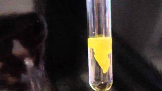 Lead II Iodide Precipitate [upl. by Nerat687]