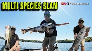 Lake Lanier Multi Species SLAM  Spotted Bass Striper and GAR lakelanier [upl. by Adnuahs]