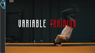 This Training Concept Builds NEXT LEVEL Performance [upl. by Leinad882]