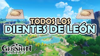 Ruta de TODAS las Semillas de Diente de León  Genshin Impact Español [upl. by Adnawyt598]