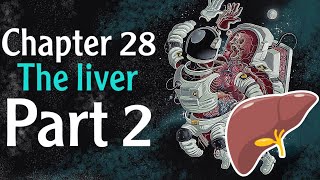 Physiology chapter 28 The Liver part 2  فسلجة وزاري [upl. by Nekal]