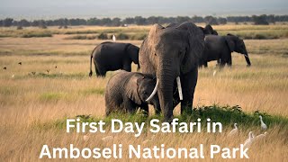 First Day Safari in Amboseli National Park  Kenya  Amboseli Serena Safari Lodge  Great Experience [upl. by Salomie902]