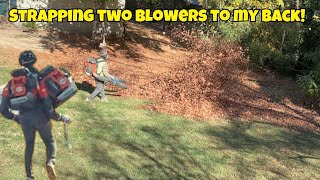 How To Tackle A HUGE LEAF BLOWING with two back pack blowers [upl. by Shepp]