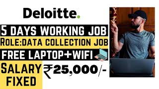 Deloitte Data Collection Jobs For Freshers  Deloitte Off Campus Placement  Deloitte Recruitment [upl. by Ayhdnas]