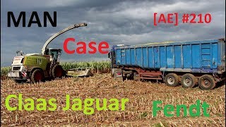 Mais häckseln für Biogasanlage Hock mit Claas Jaguar AE 210 [upl. by Hallsy18]