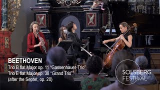 Beethoven GassenhauerTrio amp Grand Trio  Sabine Meyer Sol Gabetta amp SongJin Cho [upl. by Yeznil476]