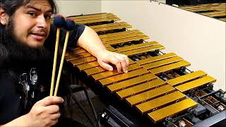 Vibraphone Tutorial Basics [upl. by Sterner616]