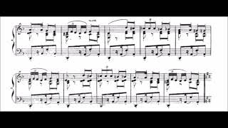 Bizet  Habanera from Carmen  Cyprien Katsaris Piano [upl. by Nnael28]