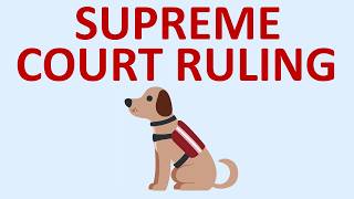 What You Need to Know About the Latest Service Dog Supreme Court Ruling on Service Dogs [upl. by Aisatan]