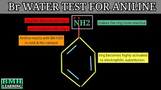 Bromine Water Test For Aniline  Reaction Of Aniline With Bromine Water [upl. by Ylrebmi845]