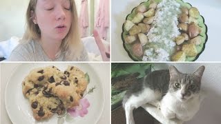 So mache ich meine Dillsoße What I Ate Wednesday Vegan  Fiepmatz [upl. by Amlet]