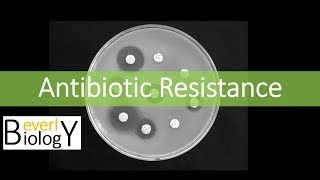 Antibiotic Resistance [upl. by Erl]