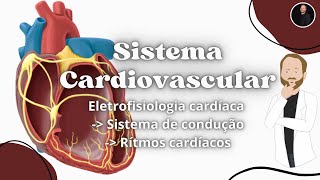 Eletrofisiologia cardíaca Sistema de condução Nó SA Nó AV Feixe de His Fibras de Purkinje [upl. by Ewolram906]