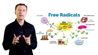 What Is Oxidation – DrBerg on Free Radicals and Antioxidants [upl. by Attener]