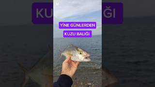 DECATHLON ŞİŞME KANO İLE BALIK AVI fishing balık spin kano decathlon hatay deniz balıkavı [upl. by Russia]