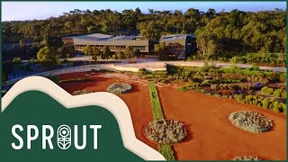 Full Episode Discover the Magic of Cranbourne Garden  Sprout [upl. by Maddocks]