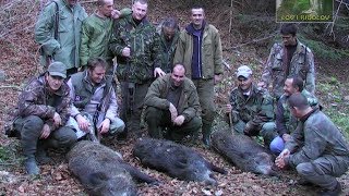 Lov i ribolov  Nacionalni park Sutjeska  Lov divlje svinje  Wild boar hunting [upl. by Lipski403]