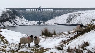 Yorkshire Dales Country Walk  Nidderdale  Scar House Reservoir circular [upl. by Ynottirb565]