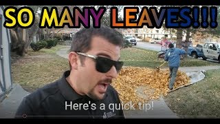 How to rake leaves faster [upl. by Assenav]