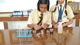 Science Activity Topic  Food Test [upl. by Rellek]