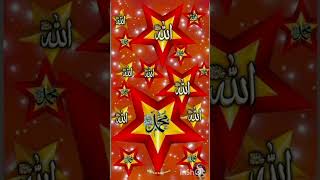 MashAllah Allah islamicvideos allahhukbar allahuakbarallahuakbar shortvideo [upl. by Kurth]