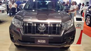 2019 Toyota Prado Startup amp Review [upl. by Otis]