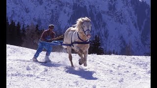 Skijoring  The Incredible Horse Skiing Sport [upl. by Moulton]