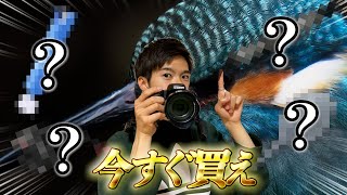 【今すぐ買え】野鳥撮影の満足度が上がるアイテム12選！ [upl. by Erna]