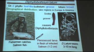 DrAzza  Helminths 5  Diphyllobothrium Latum [upl. by Ellecrag]