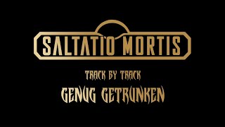 Track by Track  Genug getrunken  Saltatio Mortis [upl. by Tila28]