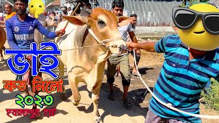 Bhai Koto Nilo Paragram Hozrotpur Gorur Hat 2023Part 68  Qurbani Cow Price in Bangladesh  Cows [upl. by Luciano]