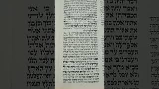 Torah Reading Parashat Bo Efraim Hachazan  קריאת התורה פרשת בא אפרים החזן [upl. by Travers]