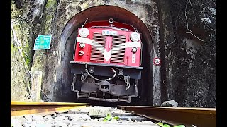 Alishan Forest Railway Reopening Celebration Day 2 Part 1  Chiayi to Fenqihu on the Vivid Express [upl. by Obocaj]