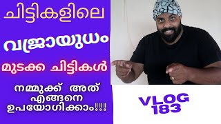 KSFEയിൽ മുടക്ക ചിട്ടികൾ നമ്മുക്ക് എങ്ങനെ തിരഞ്ഞെടുക്കാം🔥🔥🔥II MALAYALAM VLOG 183 [upl. by Bolitho]