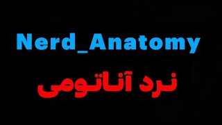 نرد آناتومی  Nerd Anatomy [upl. by Molli]