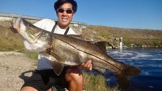 I Caught a MONSTER Fish from a TINY Canal [upl. by Encratis]