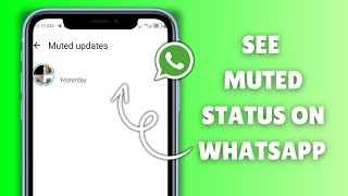 How to See Muted Status on WhatsApp Latest Update [upl. by Audrit]