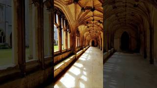 Lacock Abbey Cloisters doubled as Hogwarts in Harry Potter harrypotter Lacock hogwarts [upl. by Fernandes94]