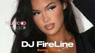 DJ FireLine  Burning Tracks 2024 Exclusive [upl. by Cloutman]