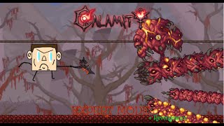 Terraria Calamity  Perforator Hive  Expert  Revengance mode [upl. by Atterys]