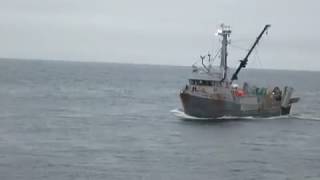 Fisheries Observer JointVenture Hake [upl. by Anertak]