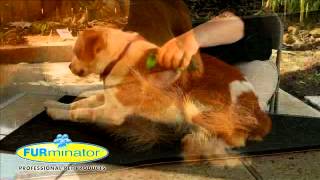 FURminator POS Video DE [upl. by Airb]