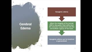 3 BBB Brain Edema amp Herniation [upl. by Ardine]