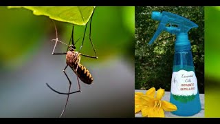 Homemade Mosquito Repellent Spray from Essential Oils [upl. by Gilson]