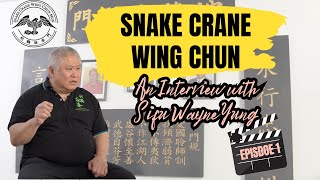 Snake Crane Wing Chun  An Interview with Sifu Wayne Yung Episode1 wingchun martialarts kungfu [upl. by Nesyrb]