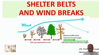 Lecture 32 Wind Breakswind windbreaks [upl. by Lecirg]